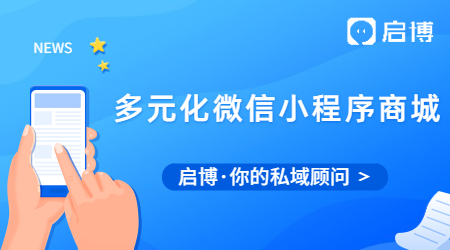 什么是多元化的微信小程序商城?有什么用？